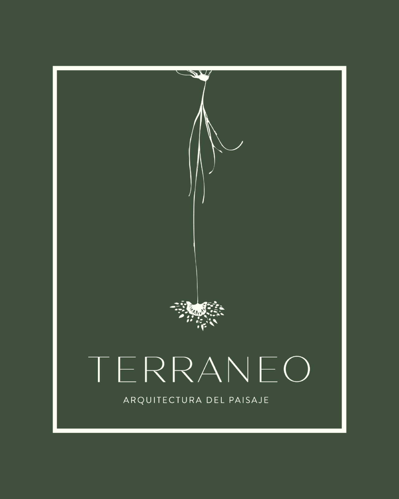 Terraneo